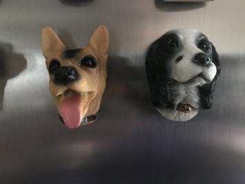 Kühlschrankmagnete, 12 Hunde als schöne Dekoration
