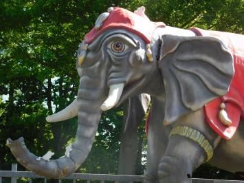 Eenmalig: olifant - exclusief beeld - 340 x 400 cm