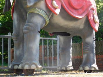 Eenmalig: olifant - exclusief beeld - 340 x 400 cm
