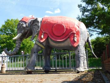 Eenmalig: olifant - exclusief beeld - 340 x 400 cm