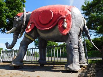 Eenmalig: olifant - exclusief beeld - 340 x 400 cm