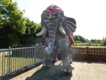 Eenmalig: olifant - exclusief beeld - 340 x 400 cm