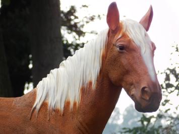 Cheval blond – 110 cm – sculpture réaliste en polystone