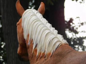 Cheval blond – 110 cm – sculpture réaliste en polystone