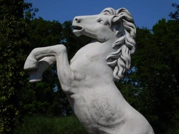 Steigerend paard - stenen dierenbeeld - 130 cm - klassiek
