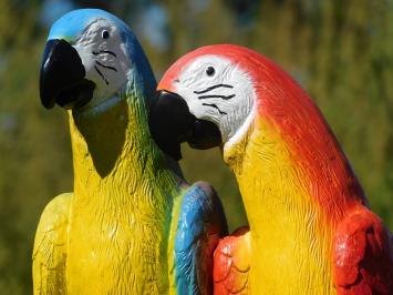 Statue Papageien auf Baumstumpf, Polystone, in Farbe