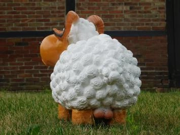 Ram - polystone - 45 cm - wit/bruin - speels beeld