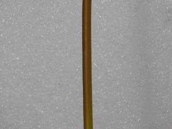 Acier Rose - Jaune - 71 cm