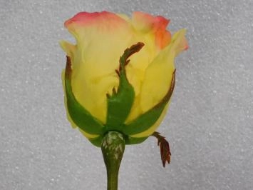 Acier Rose - Jaune - 71 cm