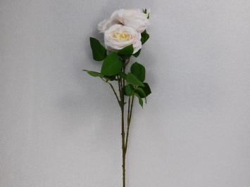 Rosenzweig - Rosa - 93 cm