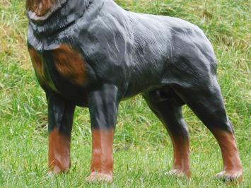 Rottweiler - hond - polystone - 80 cm - bruin/zwart