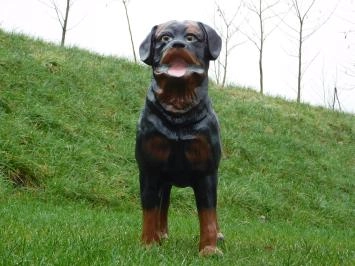 Rottweiler - chien - polystone - 80 cm - marron/noir