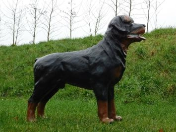 Rottweiler - chien - polystone - 80 cm - marron/noir
