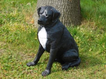 Prachtige 'Rottweiler' zwart/wit - van Polystone