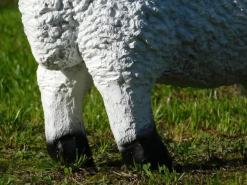 Statue de mouton en polyrésine – sculpture réaliste – 55 cm