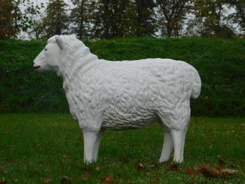 Schaap - 80 cm - Polystone