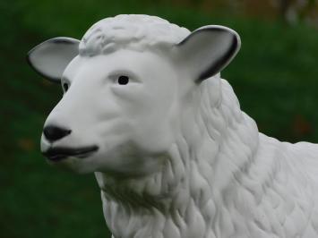 Schaap - 80 cm - Polystone