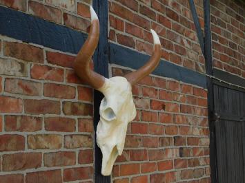Grote Stierenschedel - 70 cm - Polystone