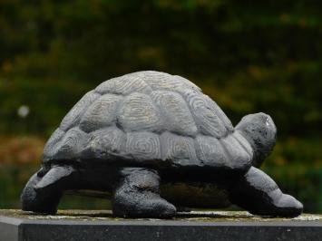 Schildpad bronslook, massief gietijzer, mooi!