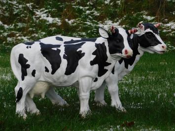 2er Set Kühe - Polystone - Detailliert - Tierplastiken