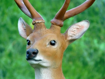 Sikahert - tuinbeeld 'hert met gewei' kunststof - 100 cm