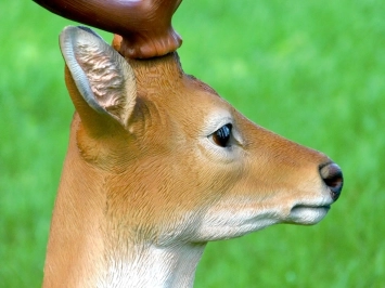 Sikahert - tuinbeeld 'hert met gewei' kunststof - 100 cm