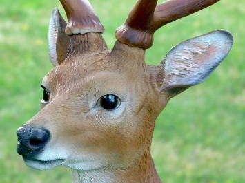 Sikahert - tuinbeeld 'hert met gewei' kunststof - 100 cm