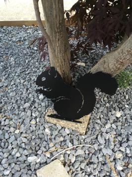Belle silhouette d'écureuil, métal noir mat