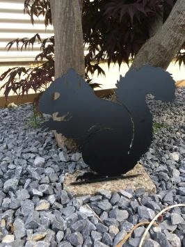 Belle silhouette d'écureuil, métal noir mat