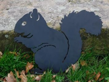 Belle silhouette d'écureuil, métal noir mat