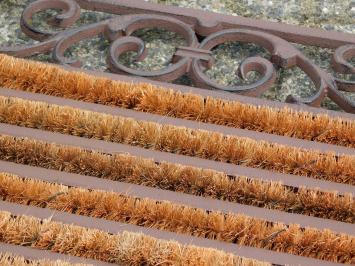 Robuste Fußmatte mit Kokosnuss-Rollerbürsten - Gusseisen
