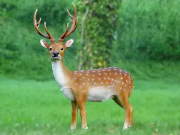 Sikahert – Gartenstatue „Hirsch mit Geweih“ Kunststoff – 100 cm
