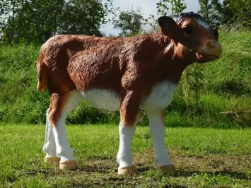 Realistisch bruin kalfsbeeld van polystone – 100 cm breed