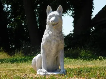 Grote zittende wolf van steen – krachtig en natuurgetrouw