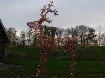 Cerf lumineux XL – 175 cm – lumières de Noël chaleureuses