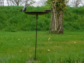 Vogelbad mit Rotkehlchen - 2 x 1 - Metall-Gartenstecker