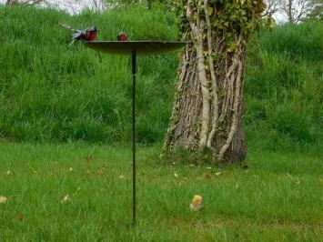 Vogelbad mit 3 Rotkehlchen - Gartenstecker aus Metall - 85 cm