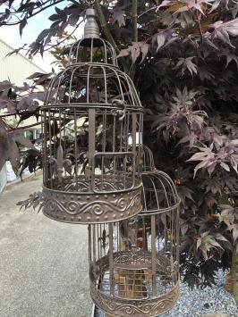 Set von schönen runden braunen Metall Vogelkäfigen, sehr schönes Design!