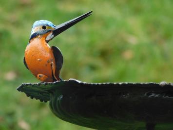 Vogelvoeder met 2 IJsvogels - Tuinsteker - Metaal