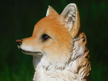 Tuinbeeld vos, dierenbeeld in kleur, kunststof, voor tuin / huis