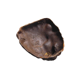 Gouttière en fonte en forme de tête de lion - 20 cm