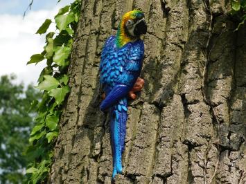 Blauer Papagei, Gusseisen