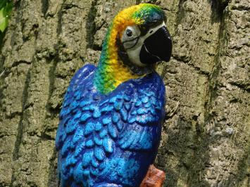 Blauwe papegaai, gietijzer