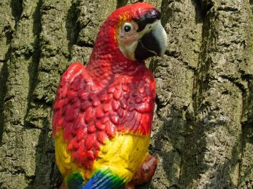 Rode papegaai, gietijzer, tuinbeeld / dieren sculptuur