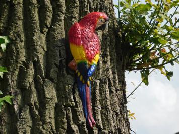 Rode papegaai, gietijzer, tuinbeeld / dieren sculptuur