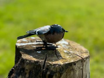 Handgemaakte vogel, zwartkop, uniek beeld, decoratie