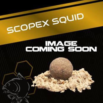 images/productimages/small/nash-scopex-squid-stick-mix.jpg