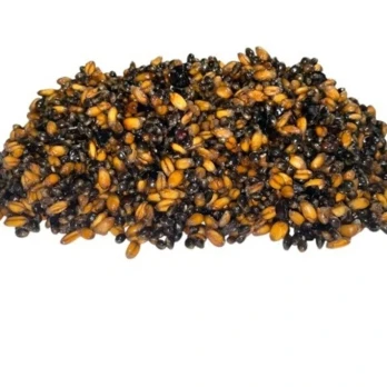images/productimages/small/ready-to-fish-partikel-mix-spodmix.webp