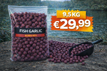 Fish Garlic Robin Red Boilies 9,5kg