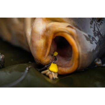 POLE POSITION Tungsta Corn Shot